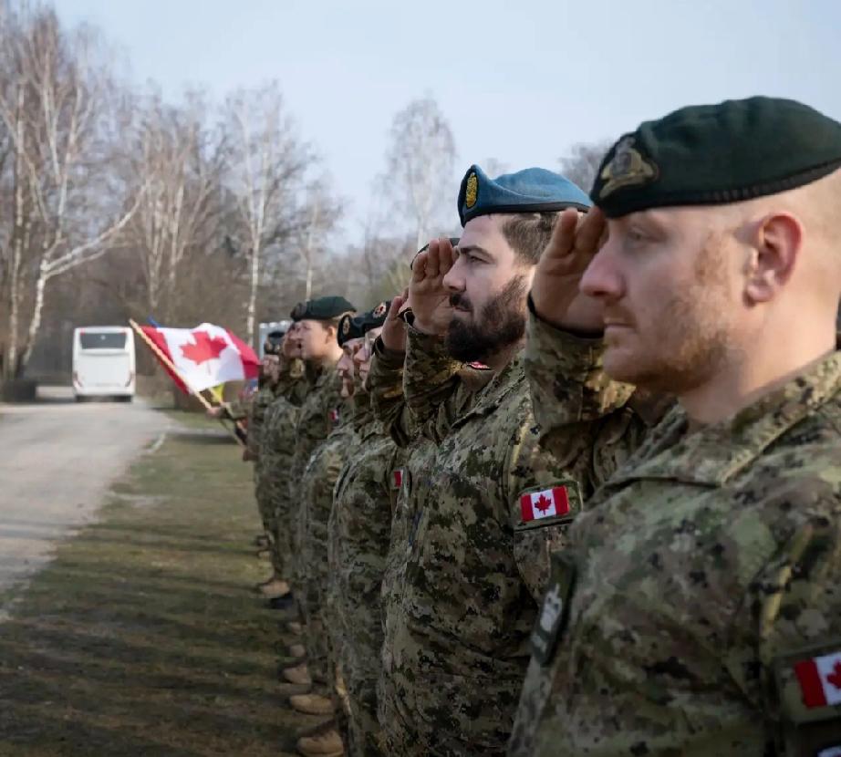 加拿大国防工业面临着不少挑战。从人才方面来看，专业技术人才短缺是个大问题。国防工