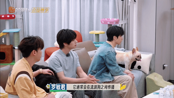 狗咬狗需要打狂犬疫苗吗家人们注意啦！狗咬狗可不是小事。要是咬人的狗没打疫苗，还是