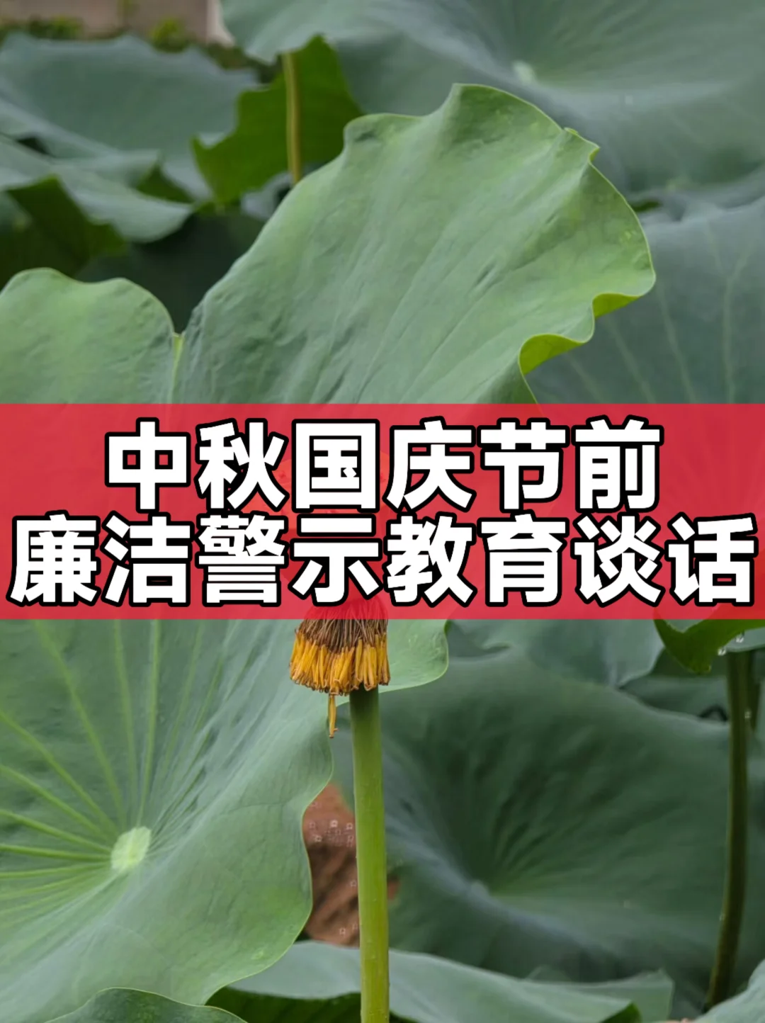 体制内：中秋国庆节前廉洁警示教育谈话提纲