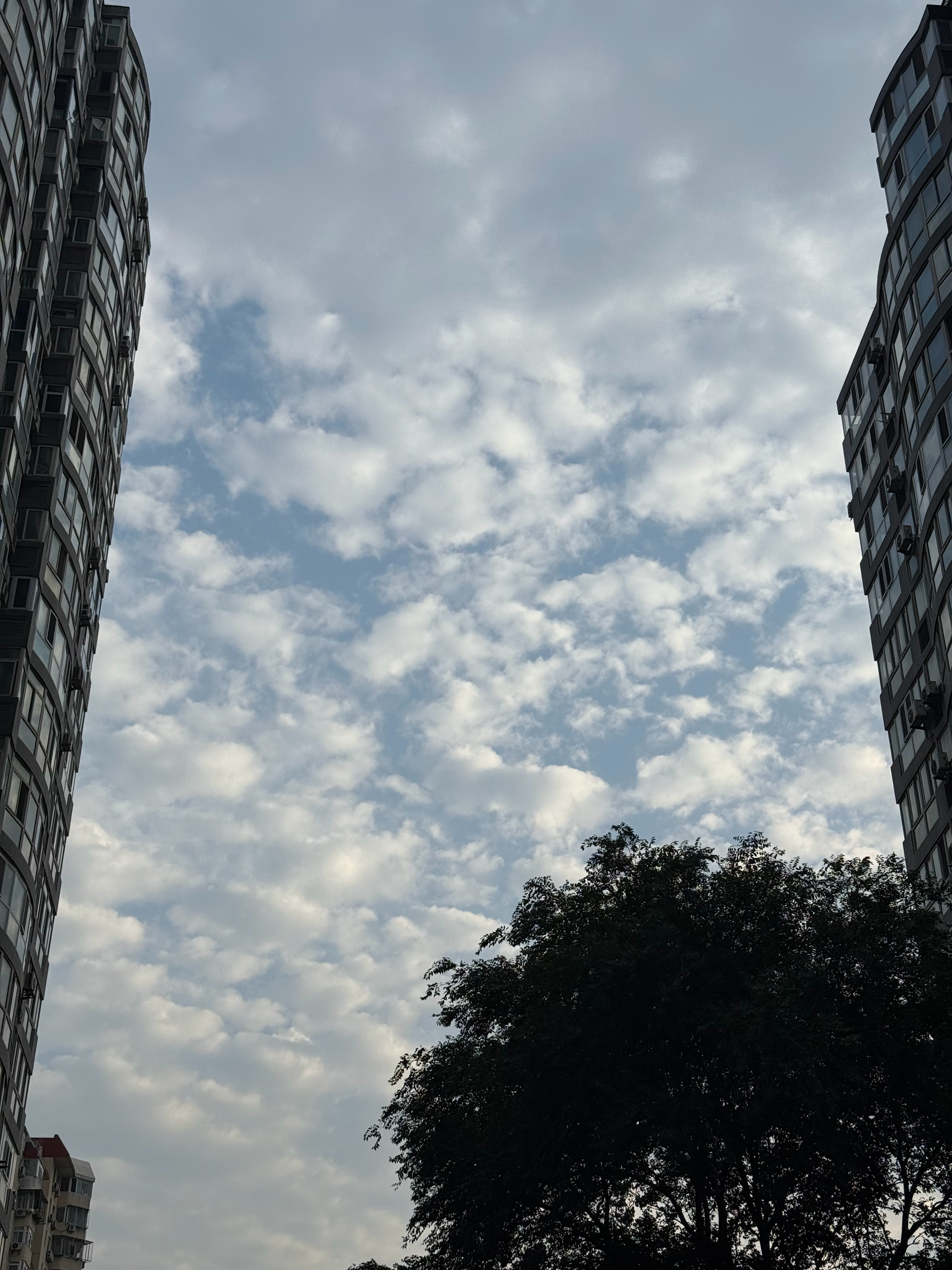 早上好！去青岛出差两天～[馋嘴]今天身份证很顺利的找到了出门前找手机找半天，最后