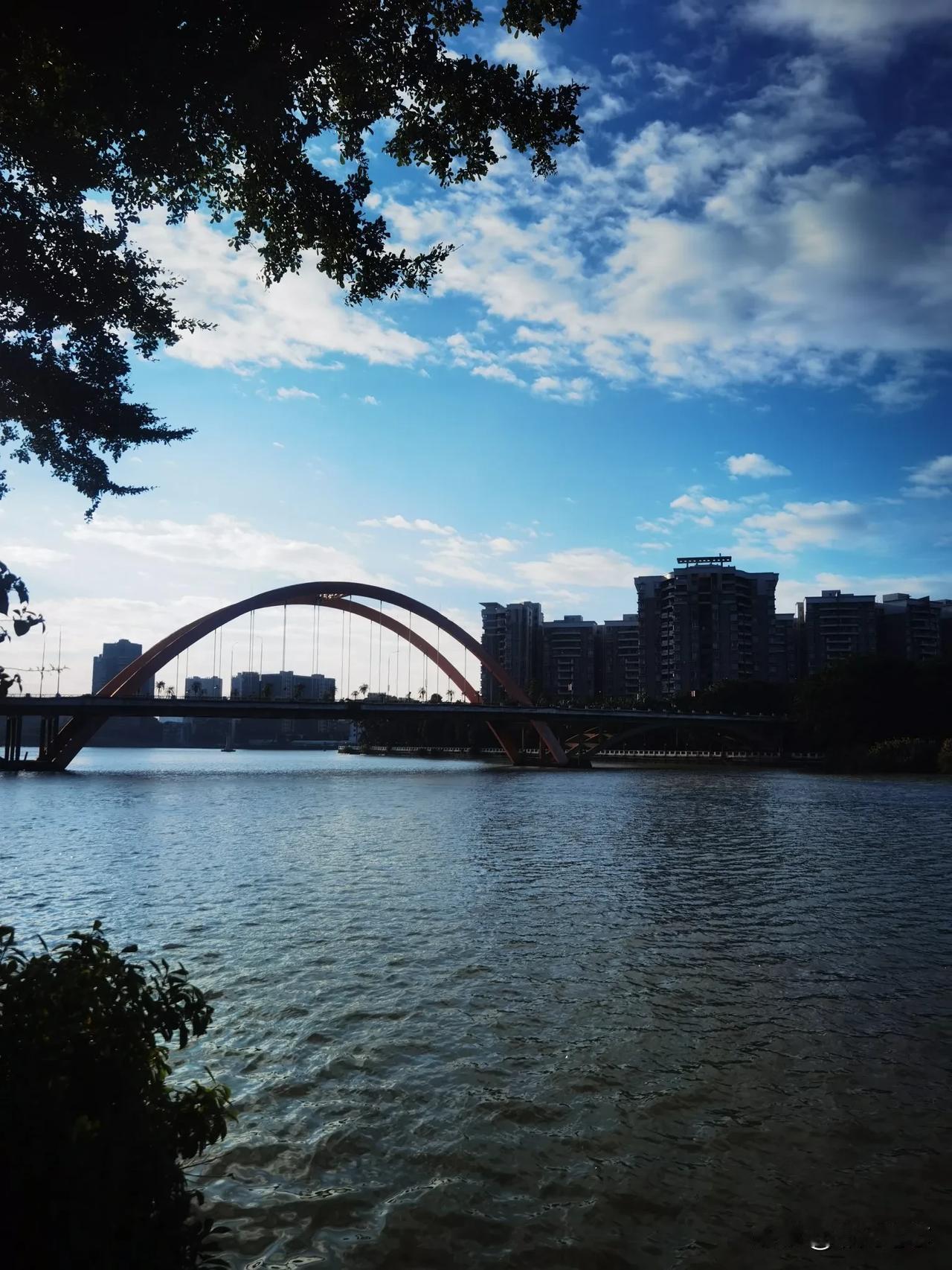 分享一下你随手拍下的照片晨光下的城市一角，广州的三角梅又绽放了[比心][玫瑰]