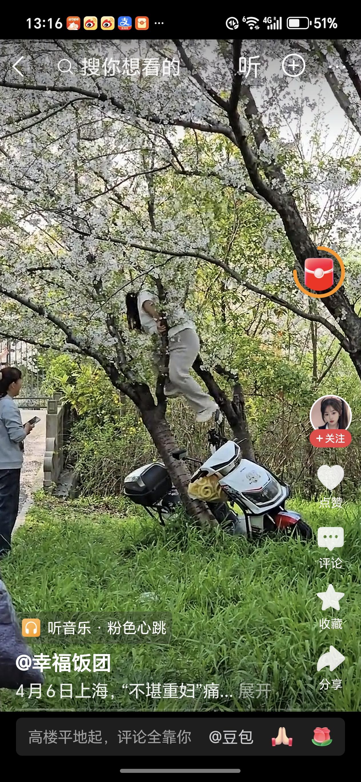 女子攀爬樱花树拍照疑致树木压倒近日上海，两骑电动车女子看到樱花开得正艳，跑过去拍