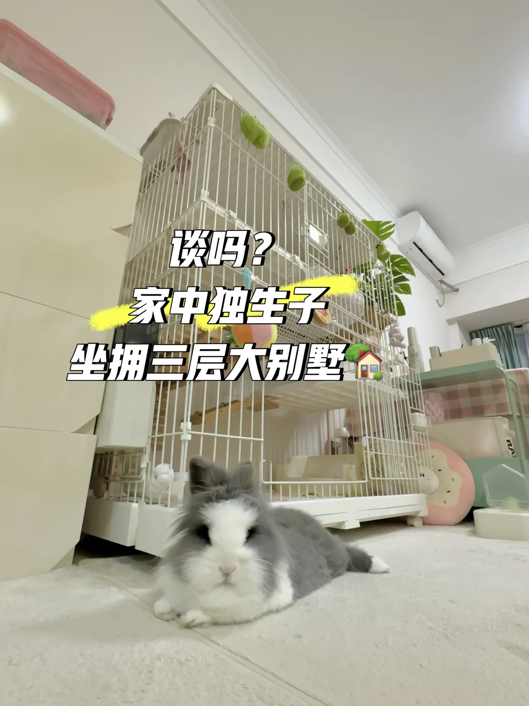 诚意交友🐰