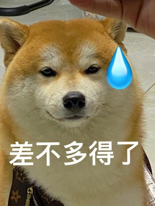 姜乘澜欠税39.5元被公告39.5元个税逾期都能上官方公告，转头还背着千万执行官