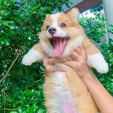 阿蕨玩玩影视剧