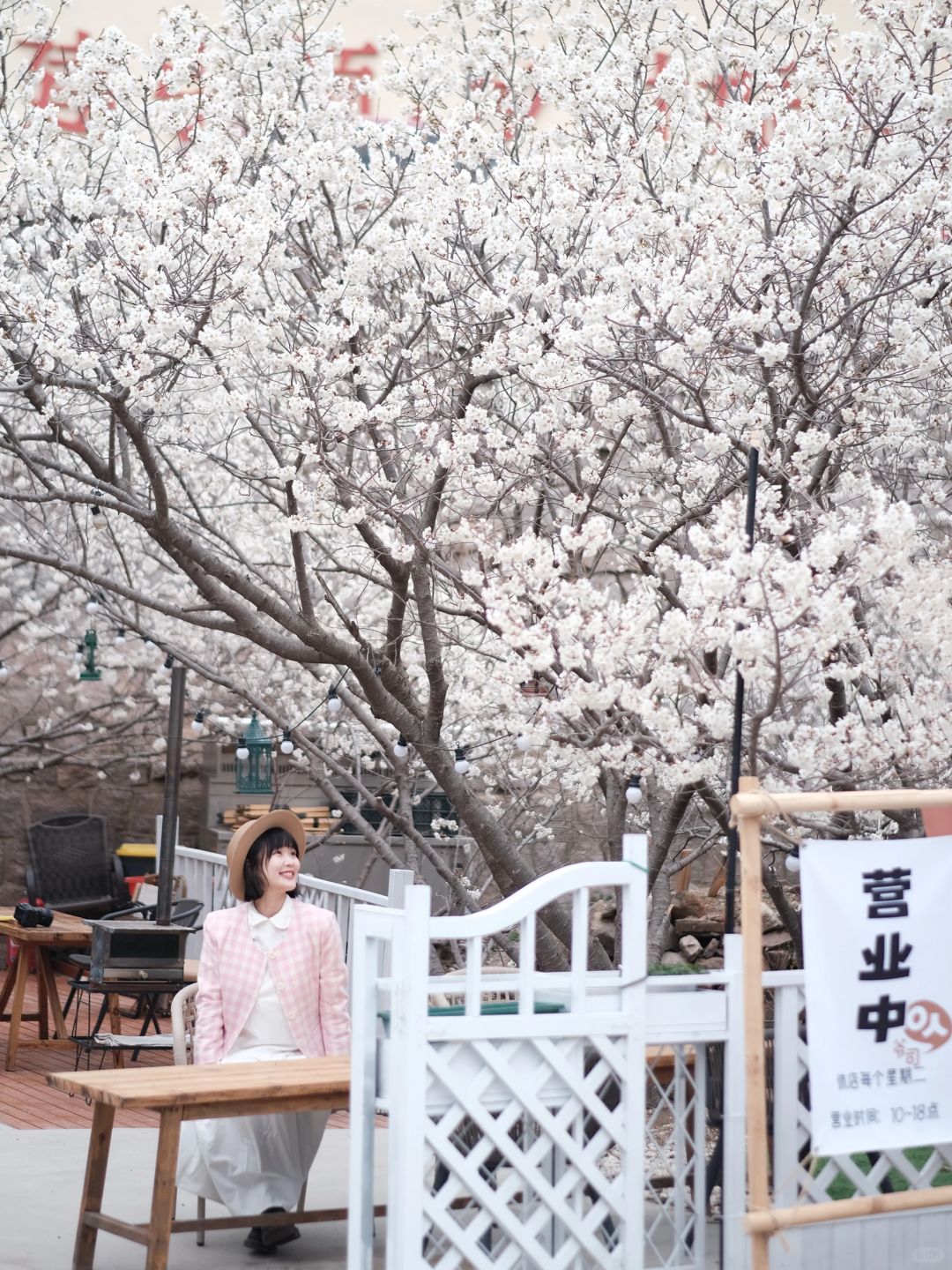 青岛花都开好啦🌸樱花树下的咖啡馆好浪漫💕