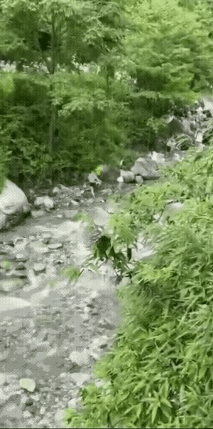 为什么有人说一个傻子是好人？他的目的是为了让更多的人去当傻子吗？