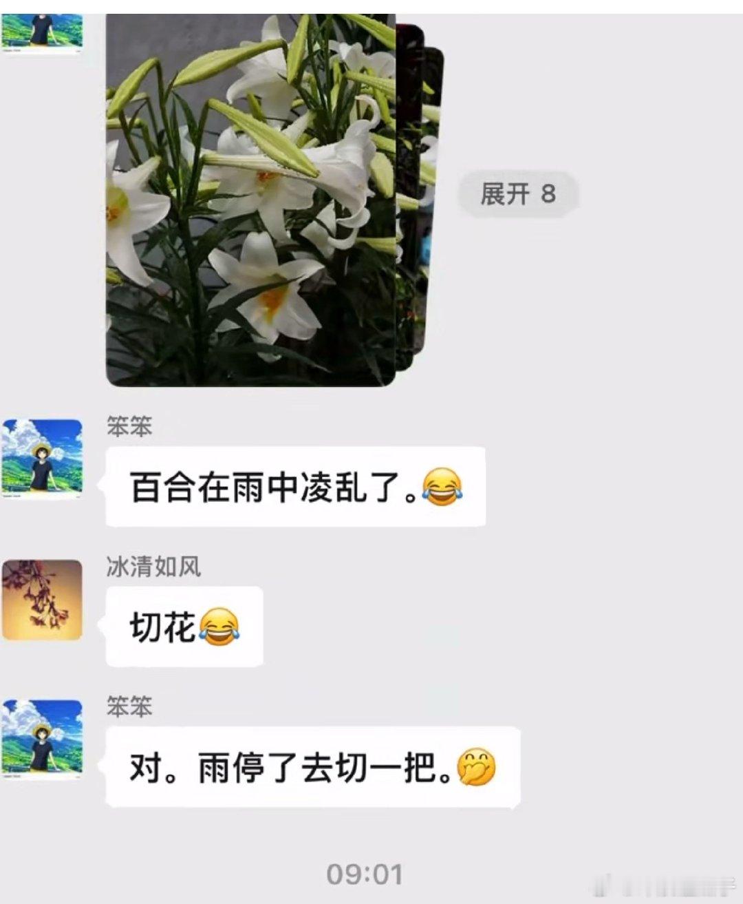 微信公关总监谈朋友圈改版能不能不要压缩啊 
