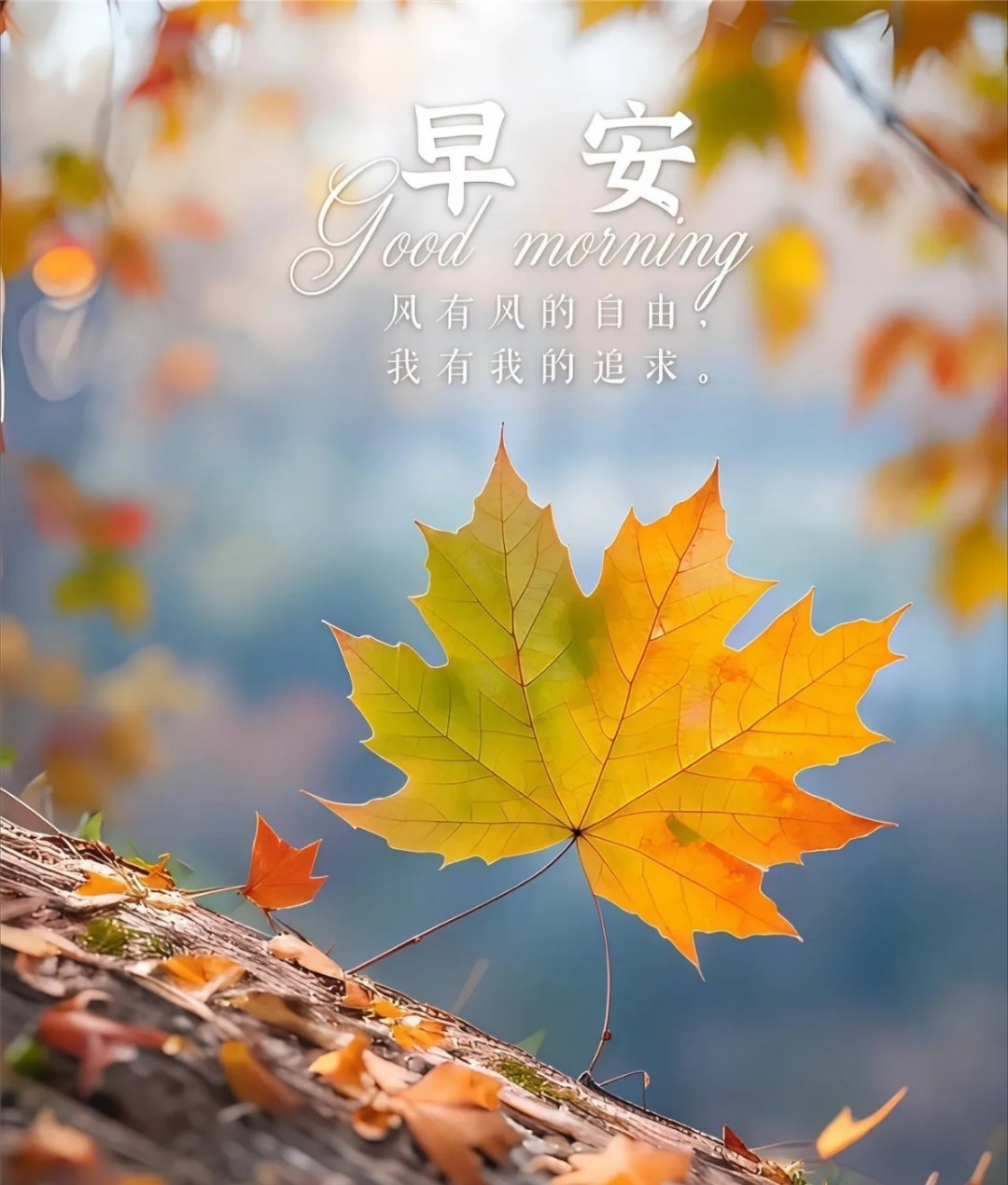 写文案[超话]生活最好的样子，是懂得接住生活的难，也懂得珍惜日子里的温柔，在这烟