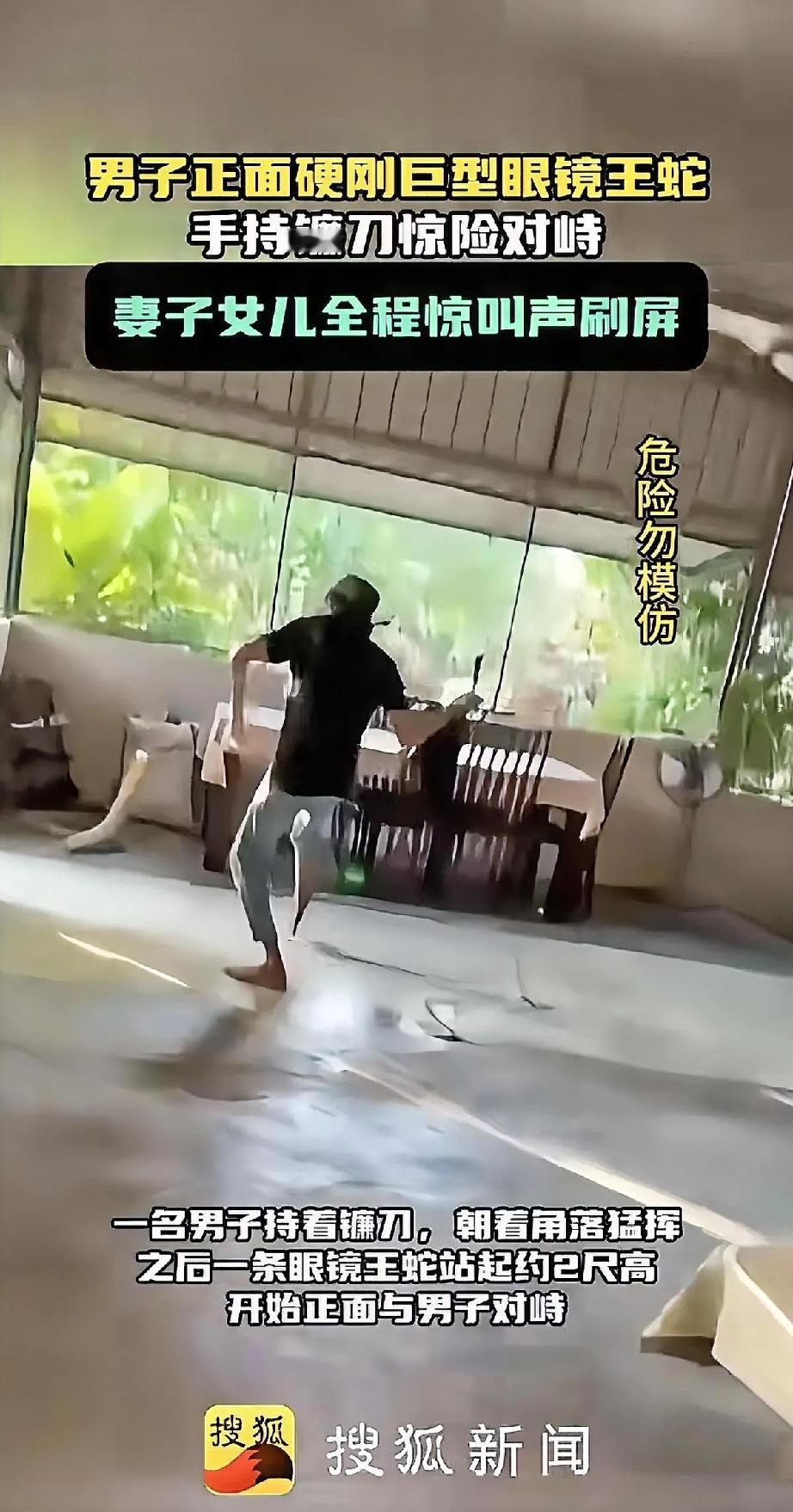 网上有个视频看得人头皮发麻。一名男子手持镰刀，和一条竖起近2尺高（约60厘米）的