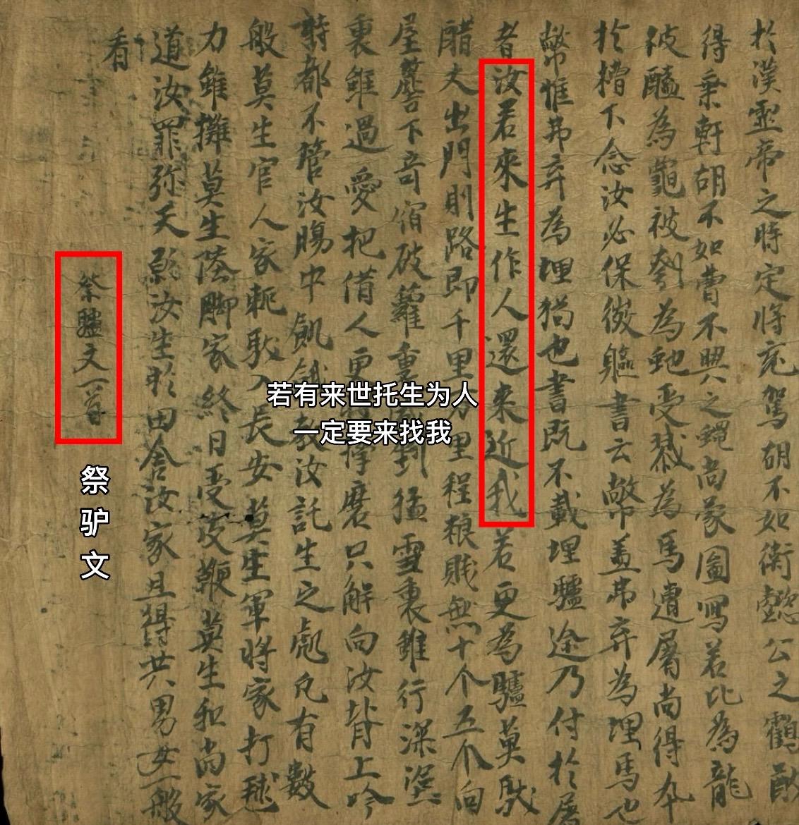 唐代一位穷学生写给一头驴的祭文  谁说白月光一定是人呢