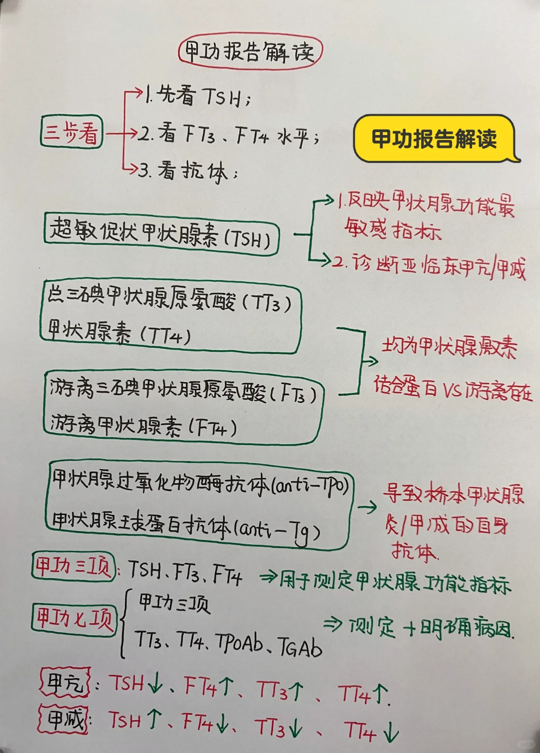 今日学习打卡——甲功报告解读