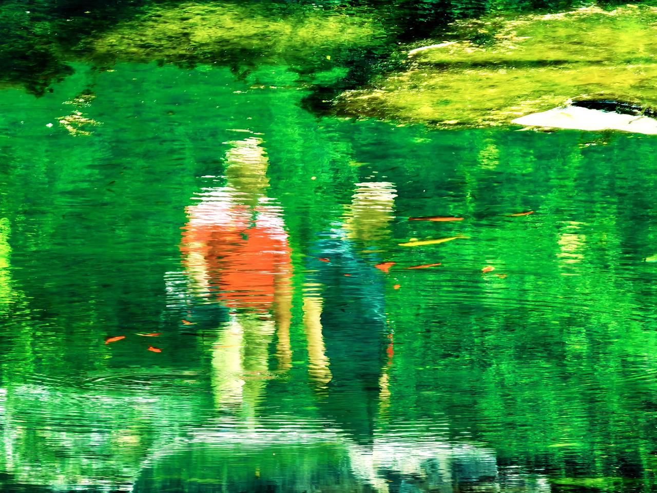 观·影