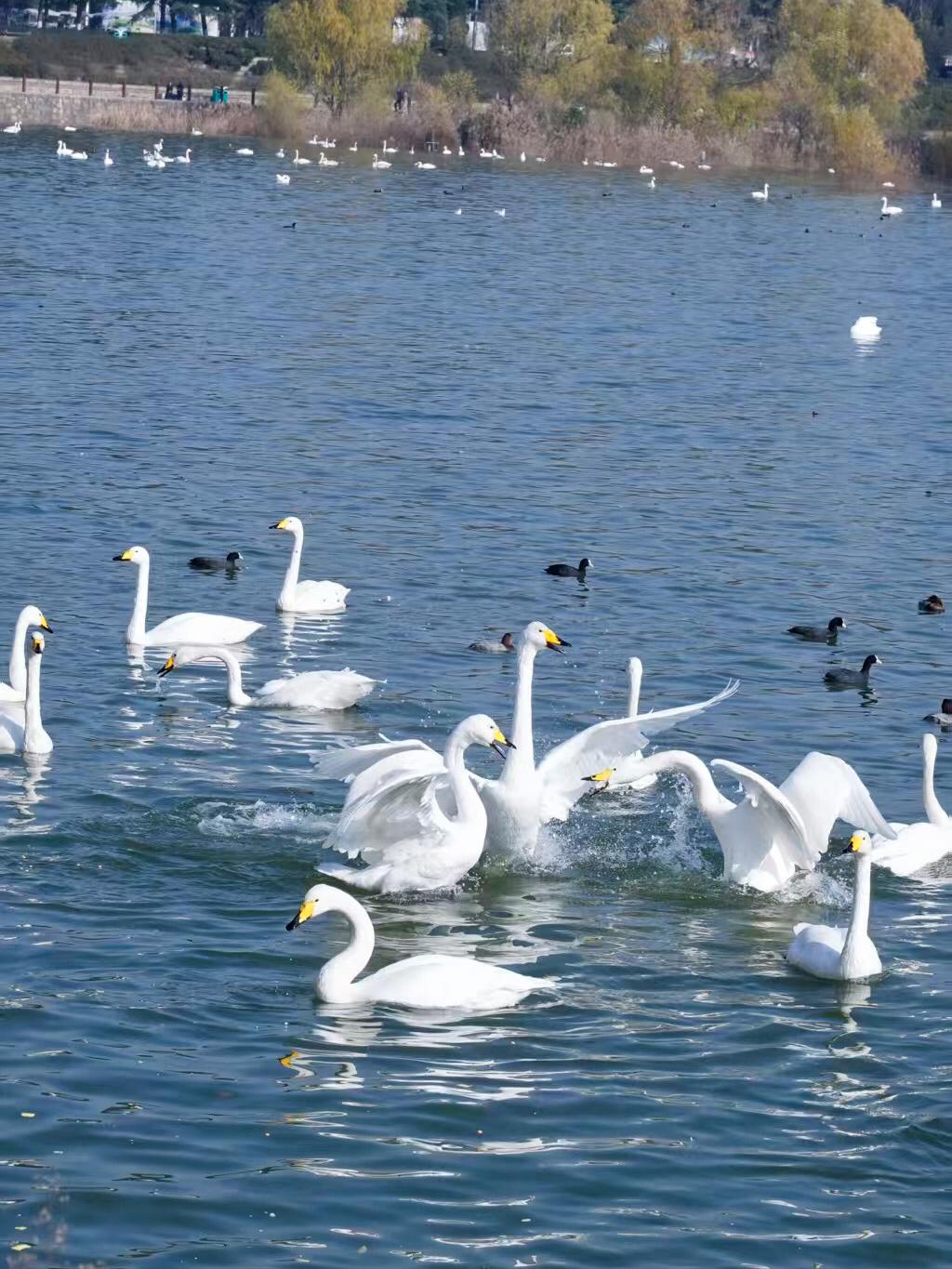 时间都去哪了？转眼2025年就剩下21天了，回顾这300多天，自己都干了些啥？