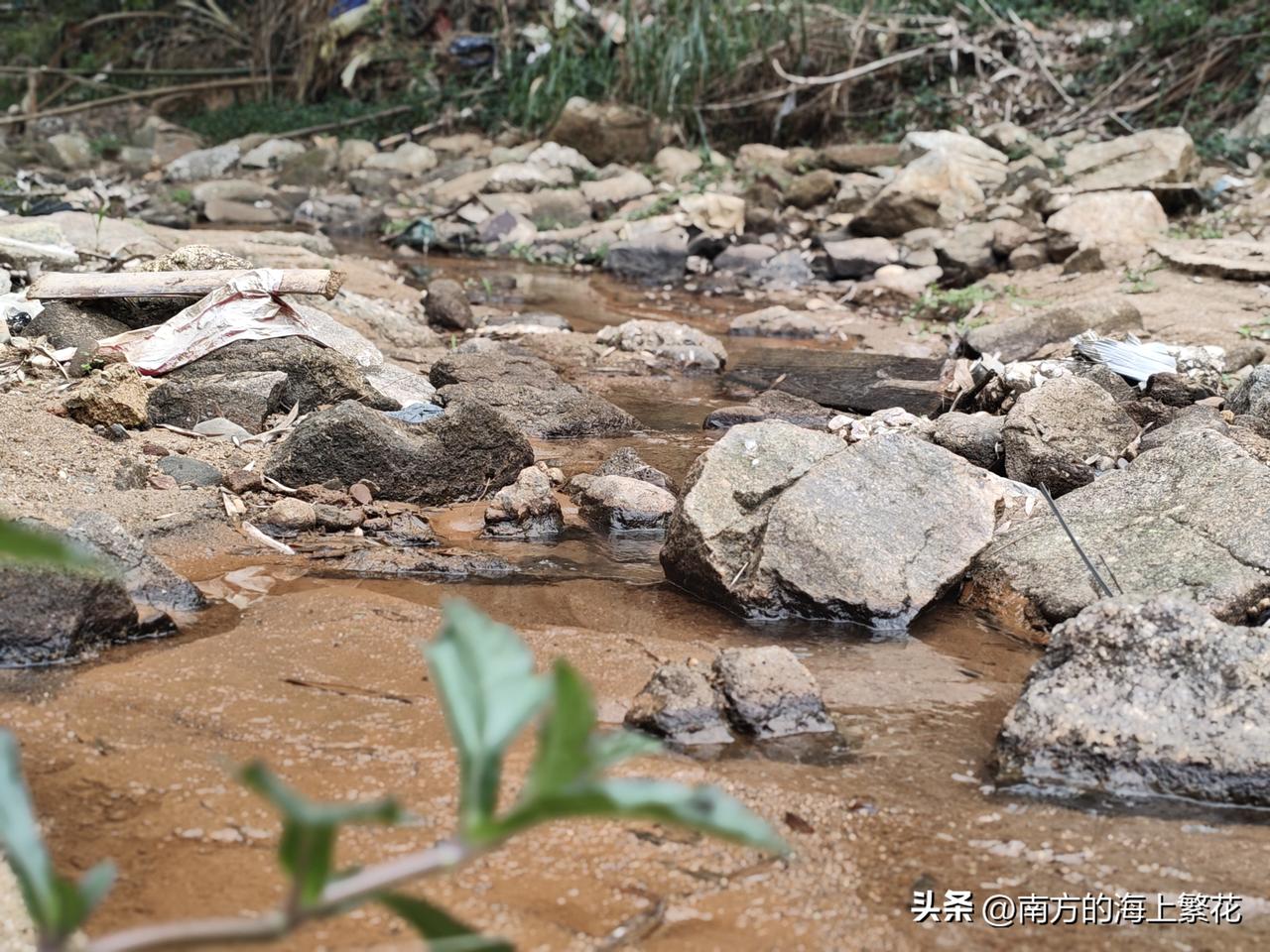 我才四十多岁，感觉自己变成了老太婆。
吃饭不再追求口味了，只要适合自己的，能吃饱