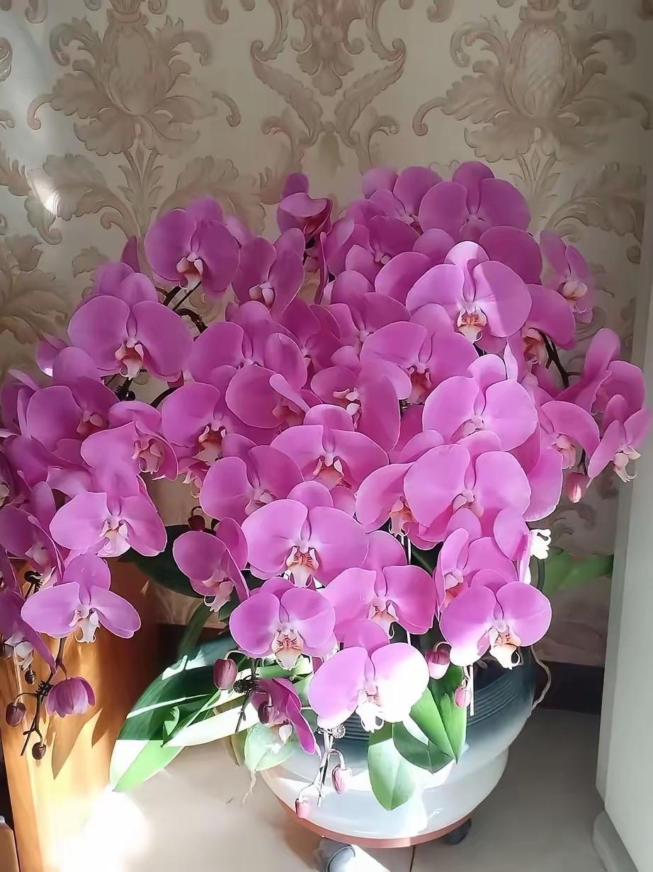 我很喜欢我儿媳妇！自打她嫁到我家，就给我家带来了无尽的欢乐，她性格开朗，爱说爱笑