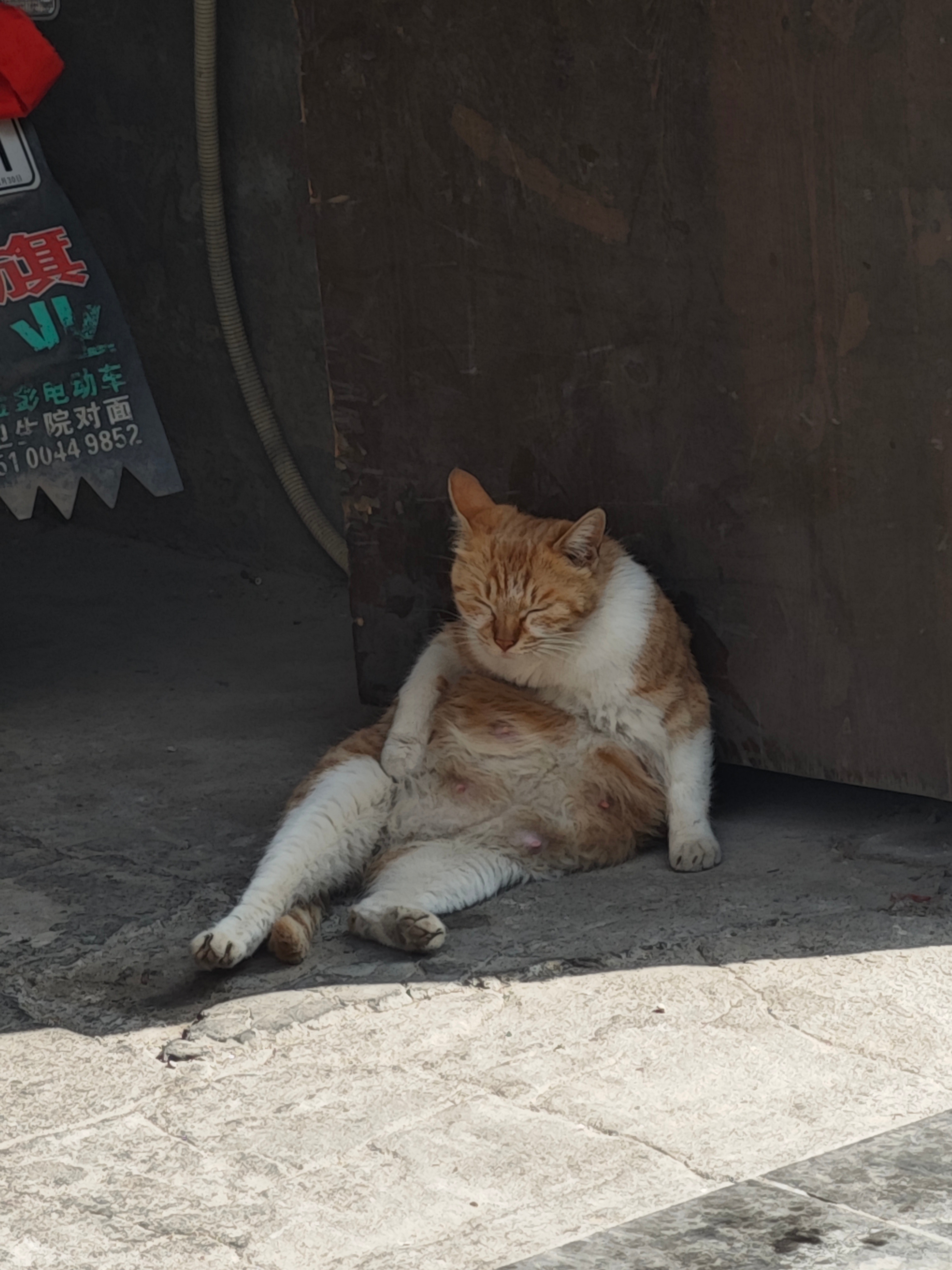 我的老年生活～hhhhhhhh 