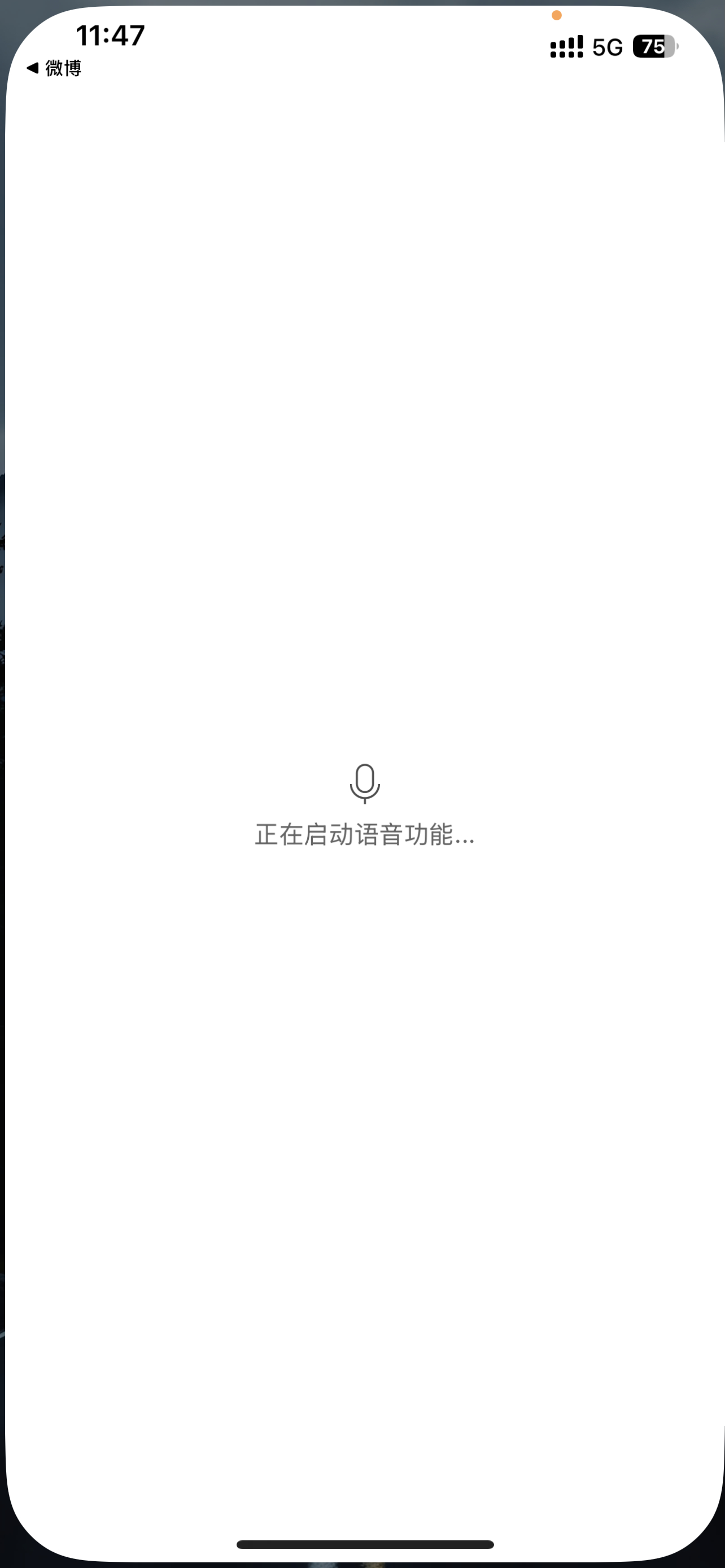 苹果什么时候能做到语音输入不需要跳转，虽然耗时很短，但对于使用体验影响极大，很不