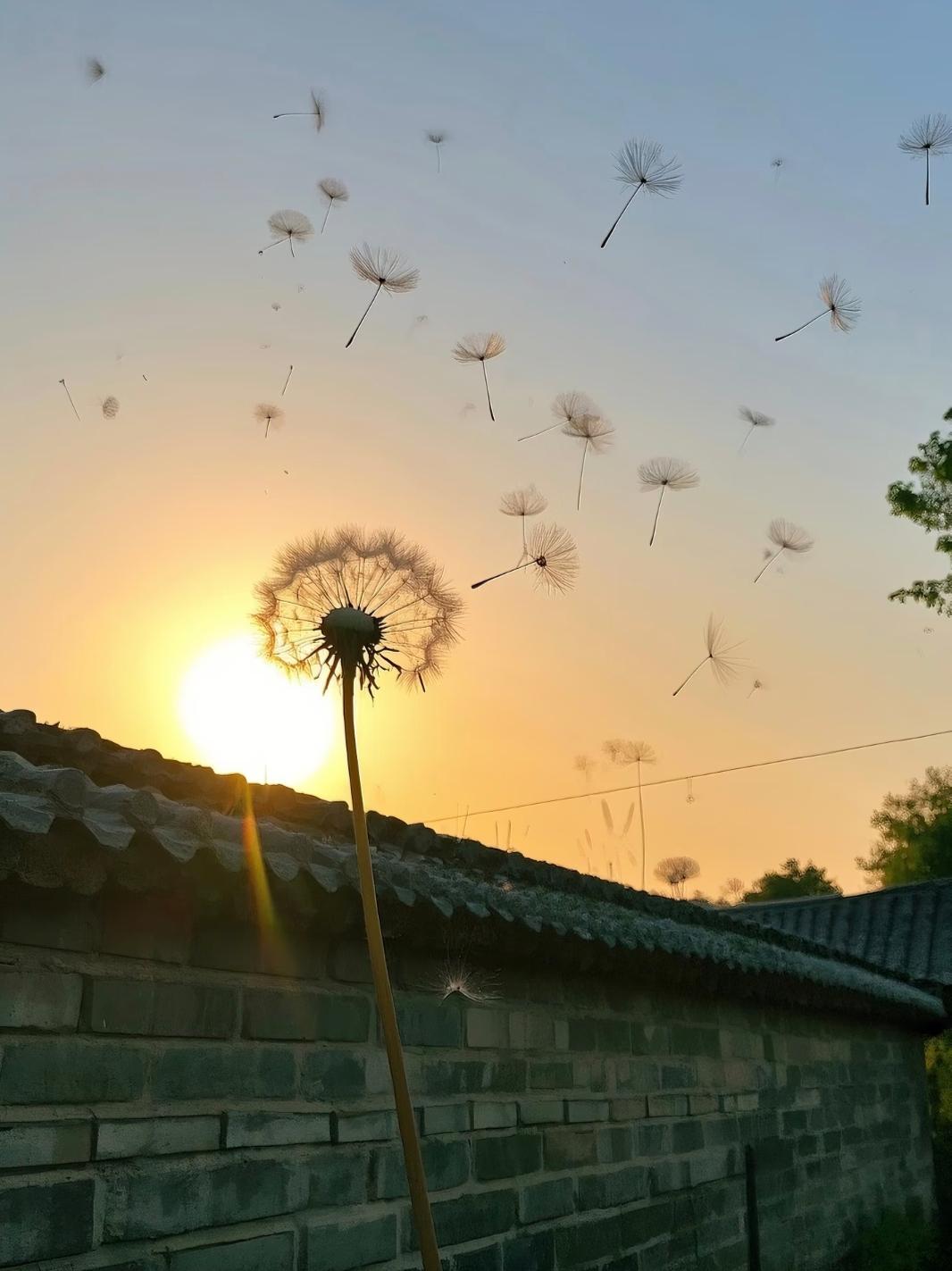不必逼自己立刻摆脱不安，允许心里有点慌乱，照样迈步向前。焦虑只是提醒你在乎生活、