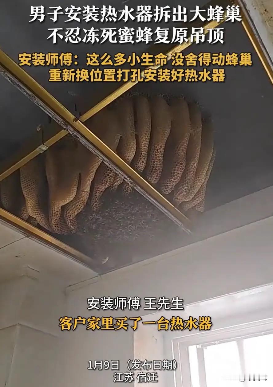 江苏，一居民家中要装热水器，谁知，当安装师傅拆开厨房吊顶后，却发现里面有个超大型