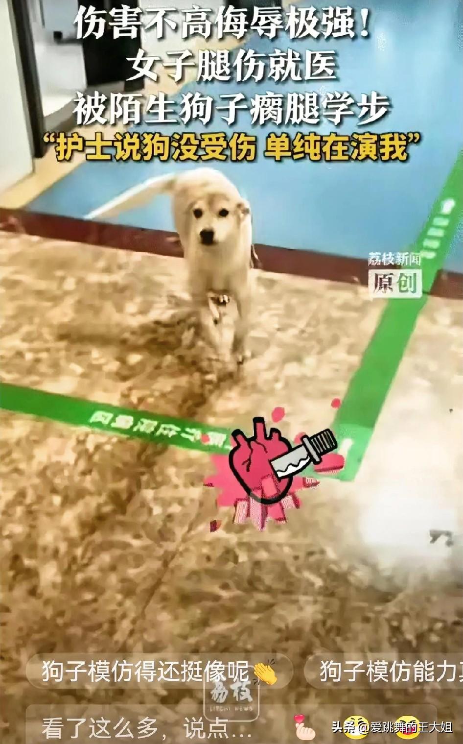 “笑不活了！”重庆，女子腿伤就医。突然，一只陌生狗子瘸着腿走过来。女子以为狗子受