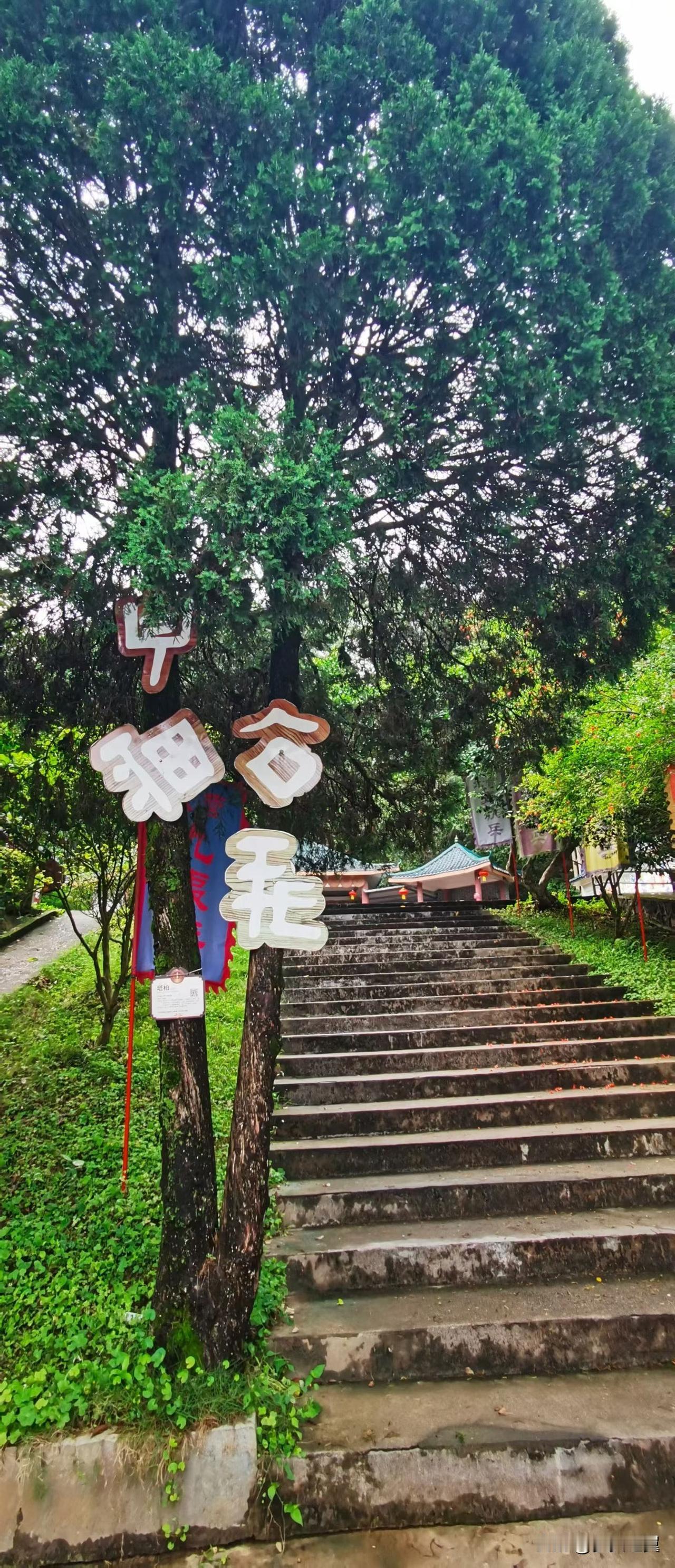 【小对联】
上：……？
下：久仰。