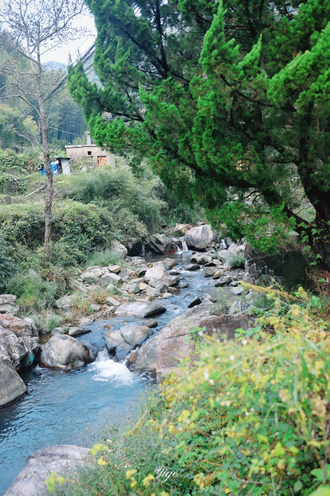 宁波徒步|奉化方家岙-大雷山金秋水稻梯田