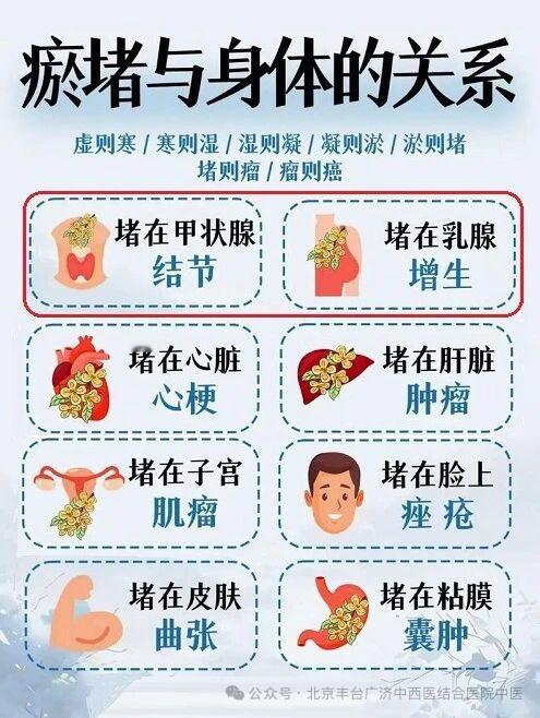 疏肝散结、防甲状腺结节：中医教你“三板斧”！百病源于淤堵！瘀堵与身体关系甲状腺结