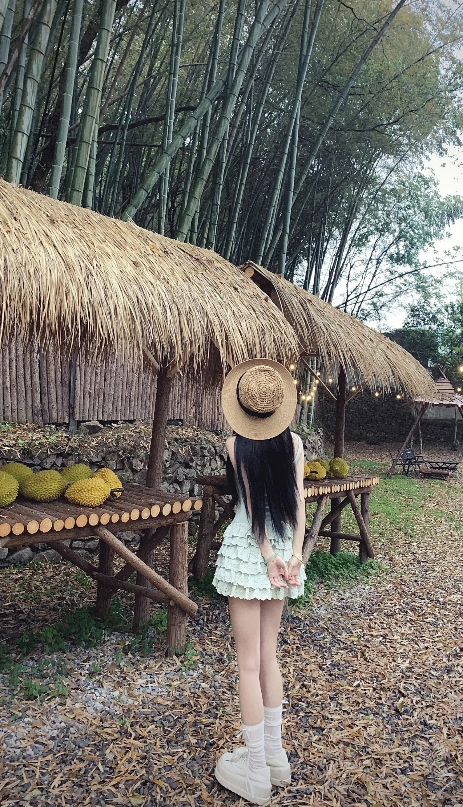 你去哪 我都跟（缅甸不跟 泰国不跟 越南不跟 老挝不跟）