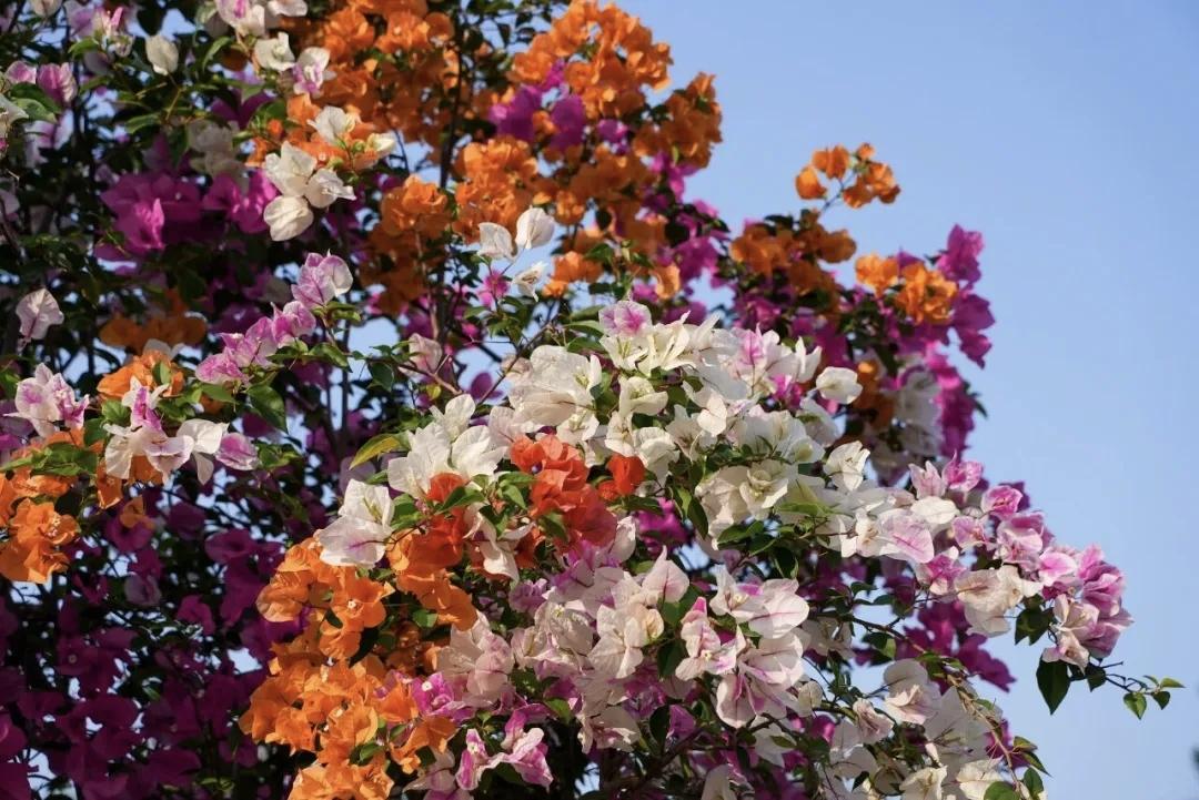 【焦虑是状态，不是结果；看不清未来时，就比别人更努力些】
        我们这