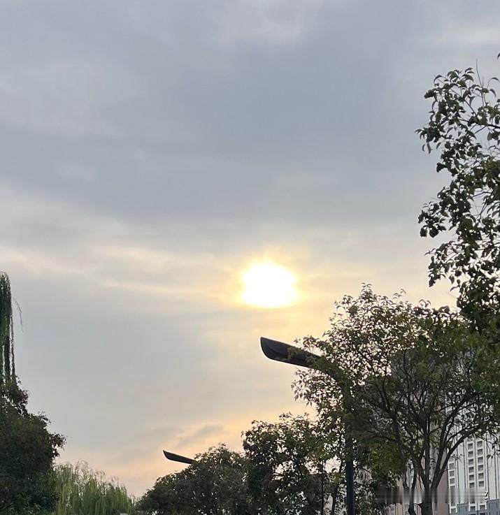 回到丛林称大王，便与人间少亲近。
        最近，和一个老同学疏远了，是有