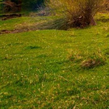 正能量人生路上，得失成败，爱恨别离，恩怨情仇，都是平常事，要学会放平心态，不要执