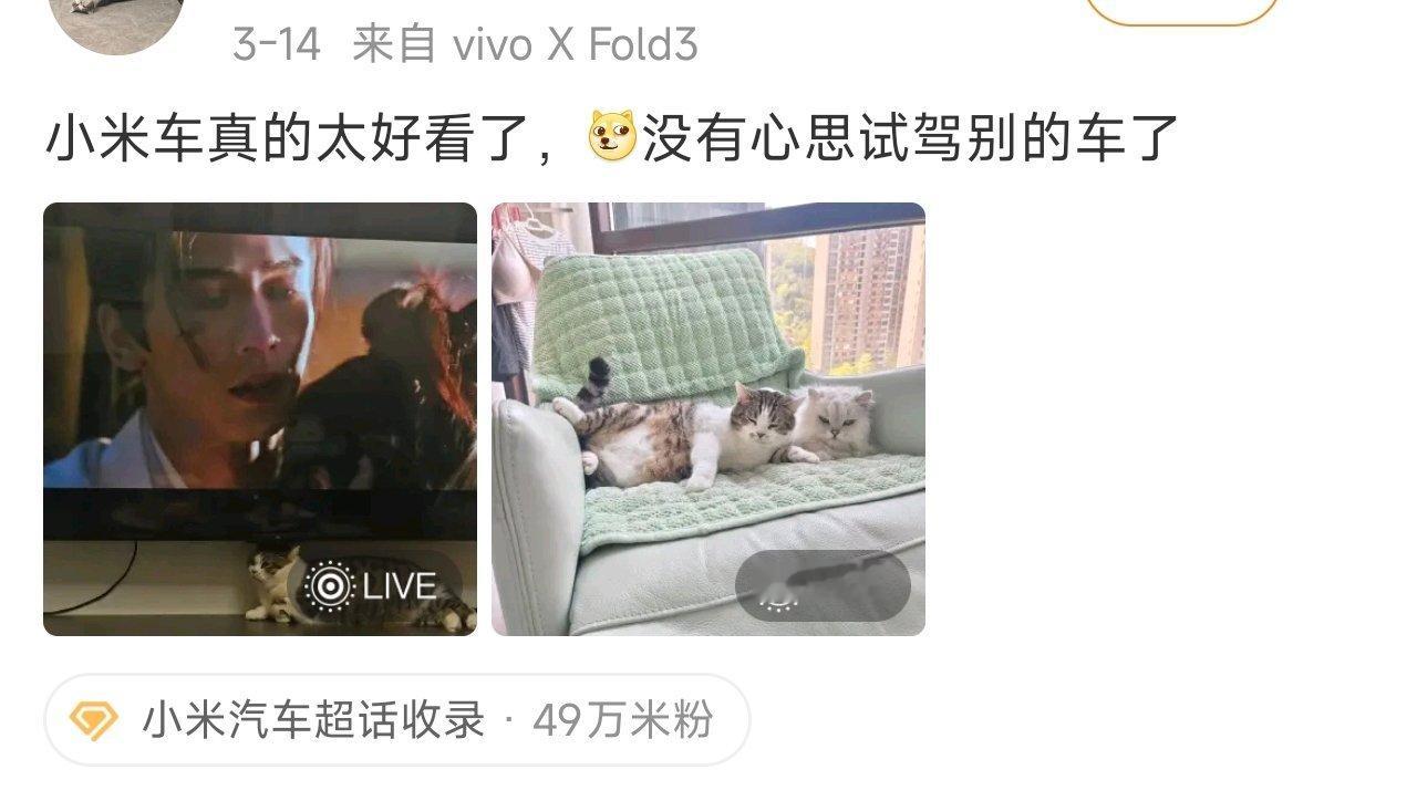 小米车真的太好看了，没有心思试驾别的车了 