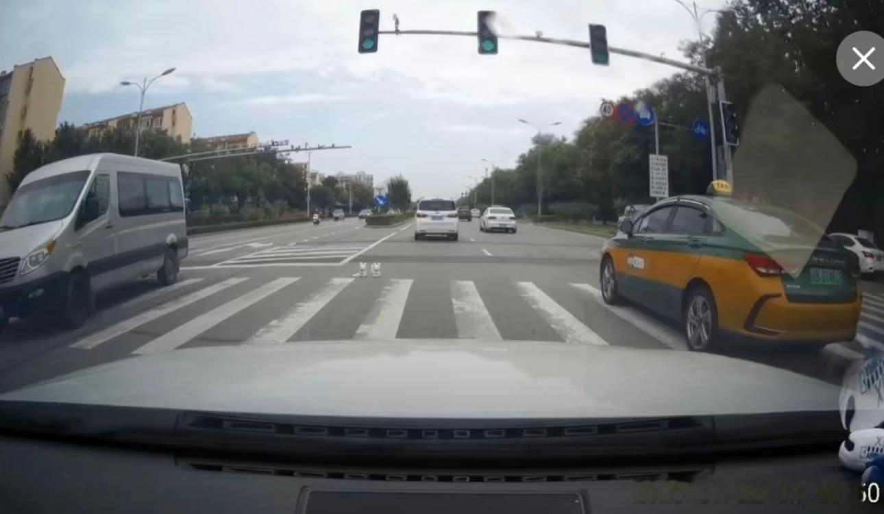 在路口放两只招财猫是什么用意？怎么看着这么诡异[衰][衰][衰] ​​​