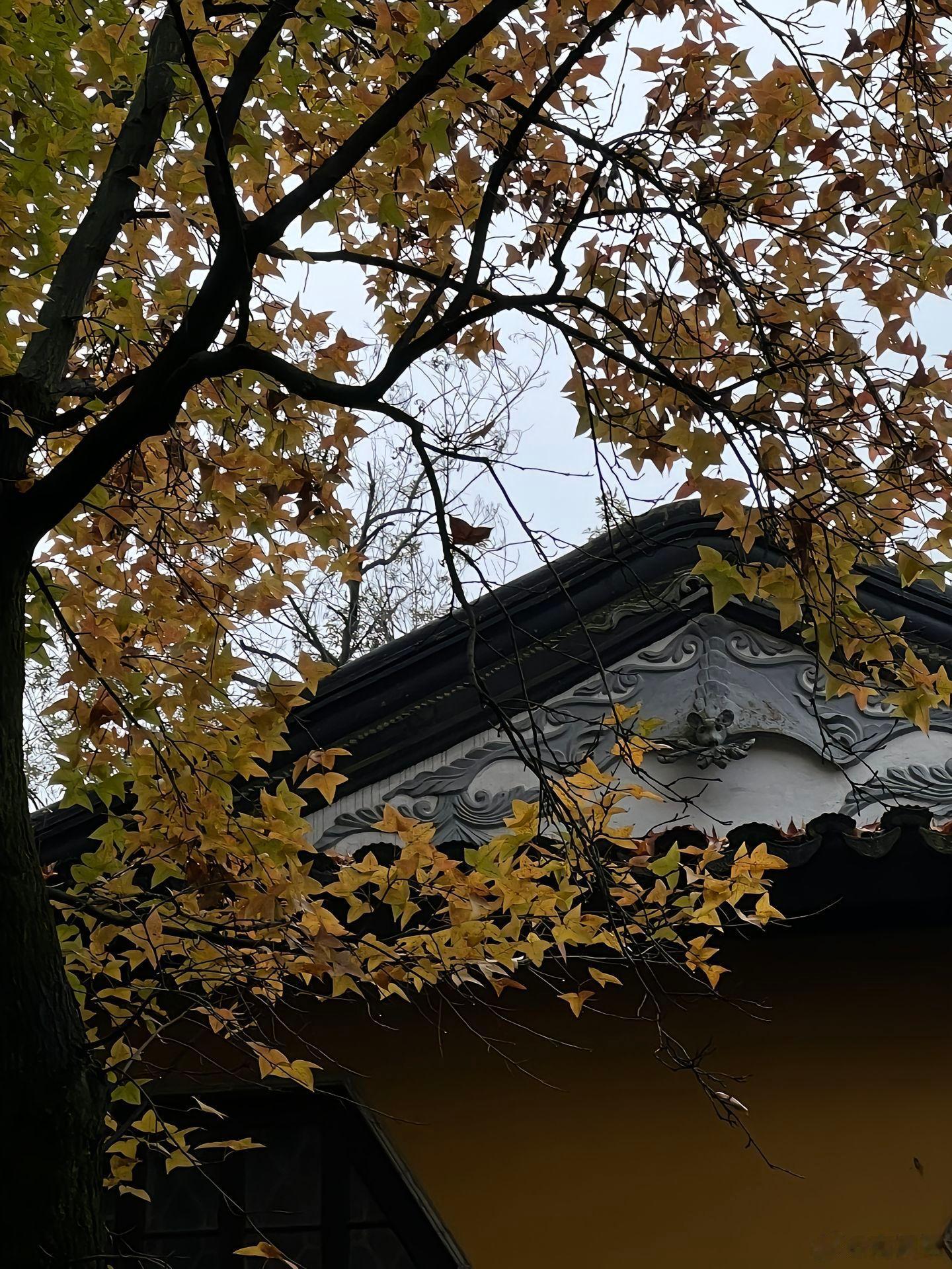 姑苏城外寒山寺 ​​​