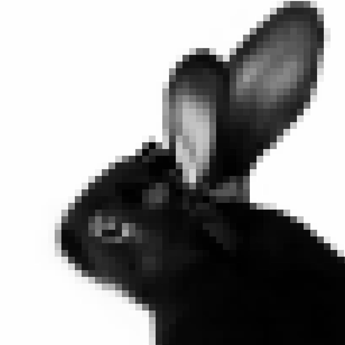 ⁺₊♡𝑩𝒍𝒂𝒄𝒌:.o○🖤 