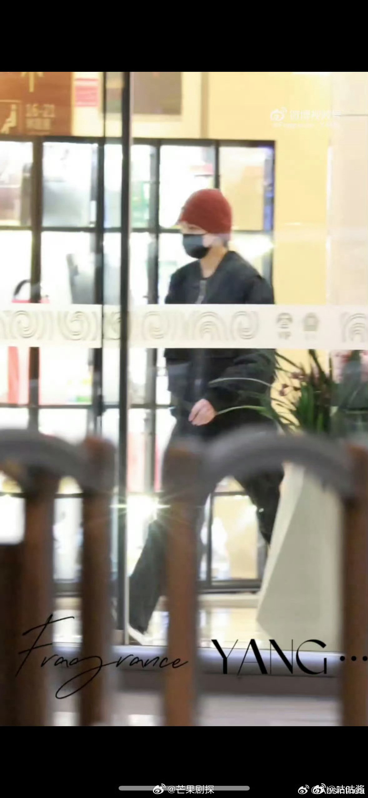 杨洋手没那么肿了杨洋手消肿了 手看起来没那么肿了 