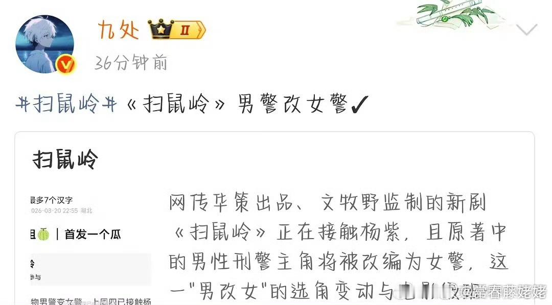 我很好奇网上这些人看过扫鼠岭吗？这本书这个剧最出彩的不是警察，警察甚至有点讨厌，