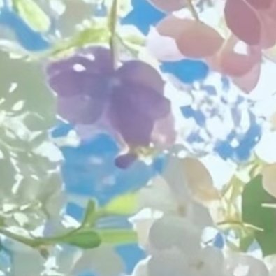 日行一善 我们要想心系祖国就一定要确立一个远大的志向，树立和培育正确的理想信念，
