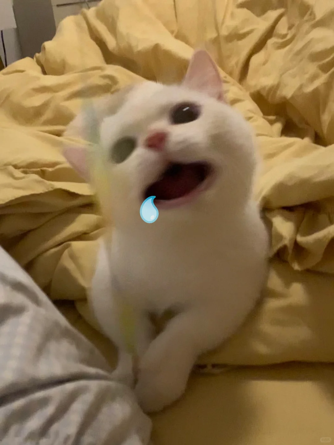 口水都流出来了