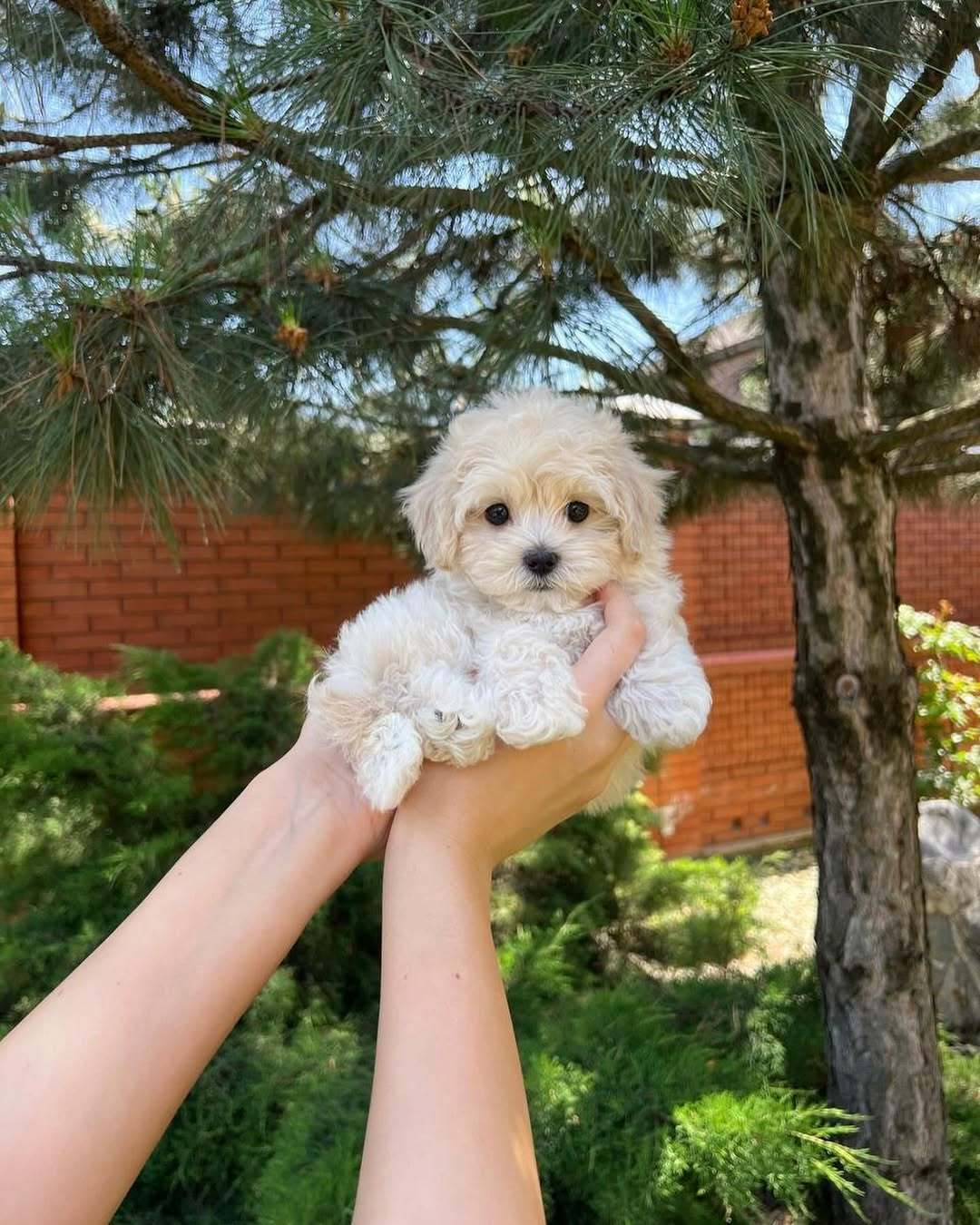 宝宝，你是妈妈的掌上明珠 