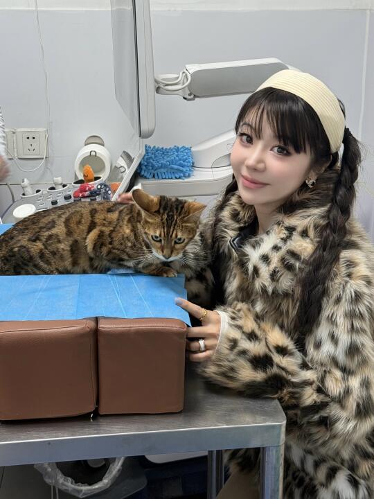 听我一句劝🐱选对宠物医院真的很重要