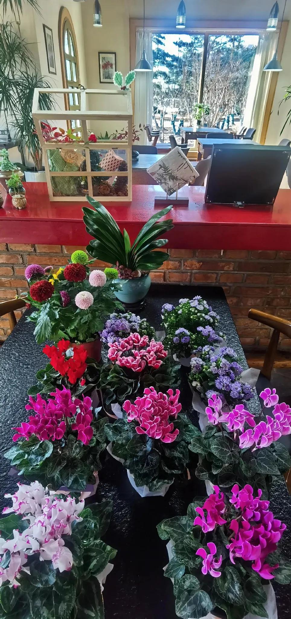春色满庭芳，花影映窗前。