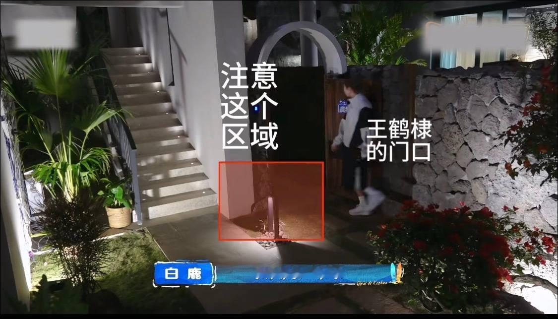 徐志胜在桃花坞聊沈月王鹤棣有没有聊聊建群姐为什么要在自己单独一人住着带大露台的房