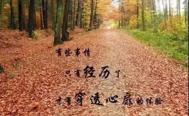为什么很多人容易将歌手视为“偶像”，原因有以下几点：

首先，歌手在演唱时，往往