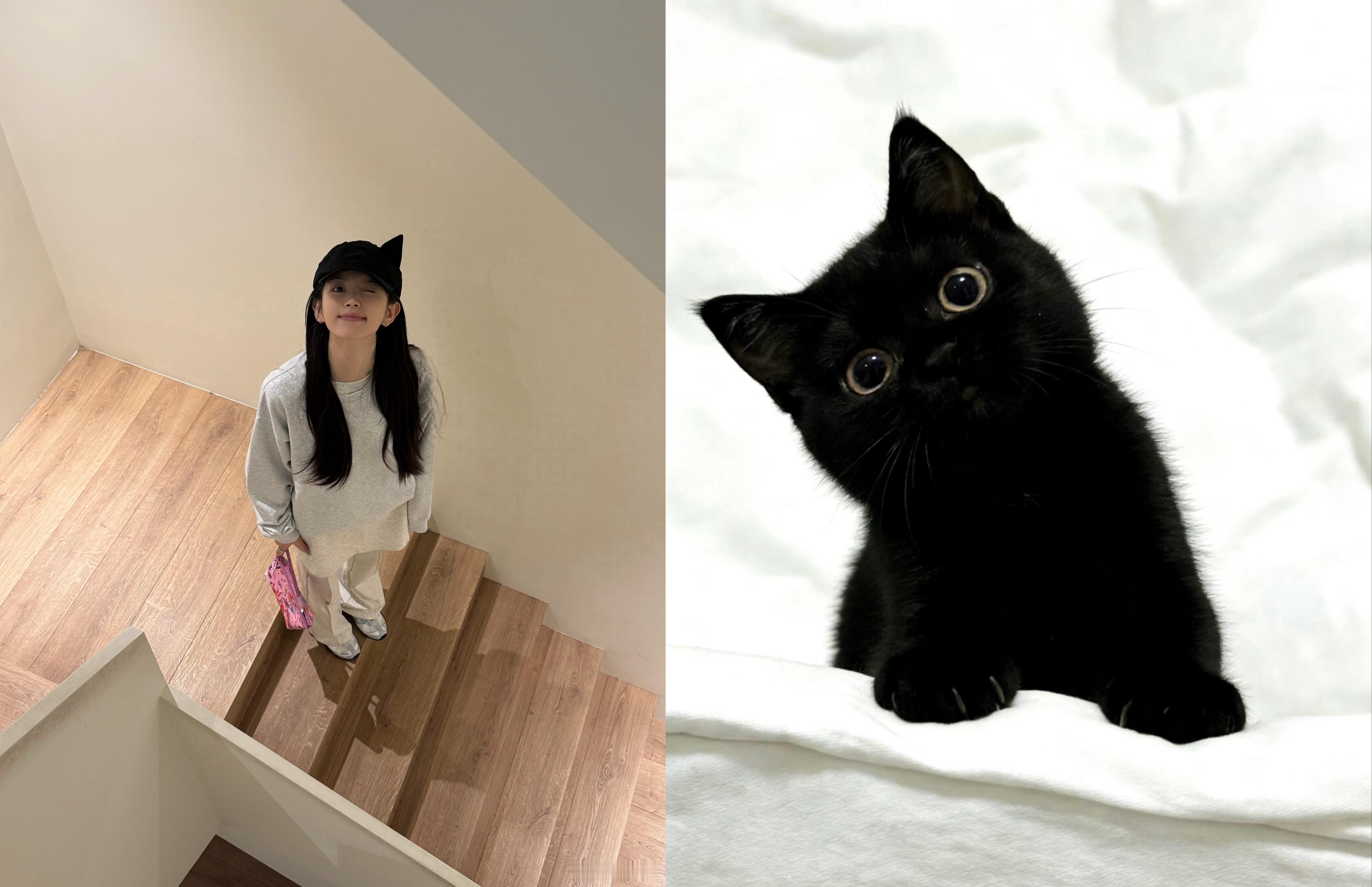田曦薇  还是那句话，全世界最伟大的猫塑啊！田曦薇猫咪耳朵帽子田曦薇 伟大的猫塑