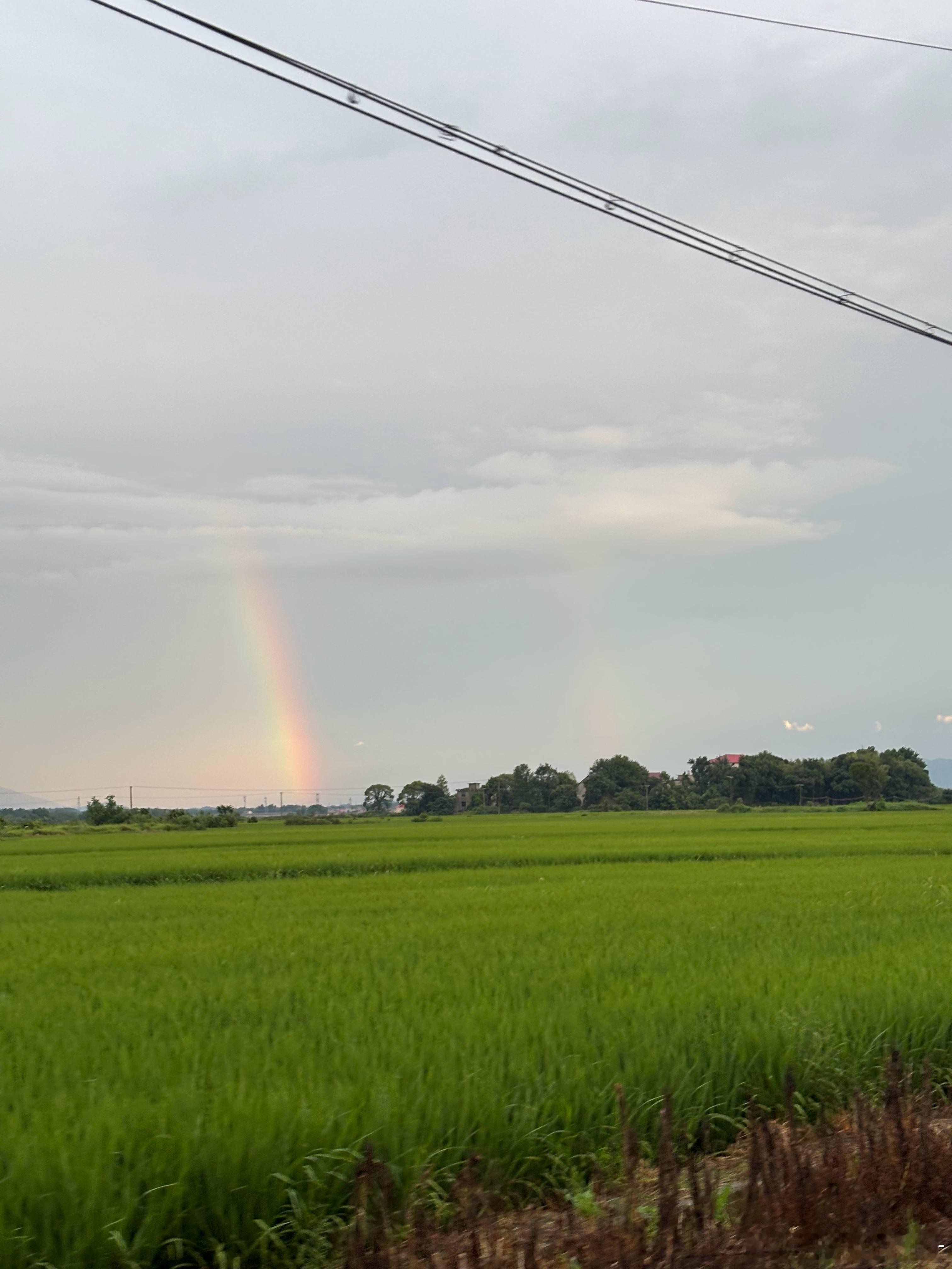 看，是彩虹🌈见者，有份 