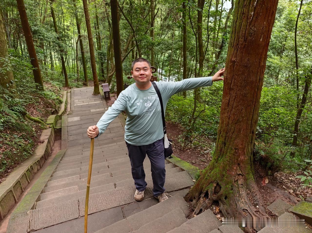 漫步峨眉山：上午11点半，从万年寺向下走，顺着平缓的台阶，经过白龙洞和古德林。中