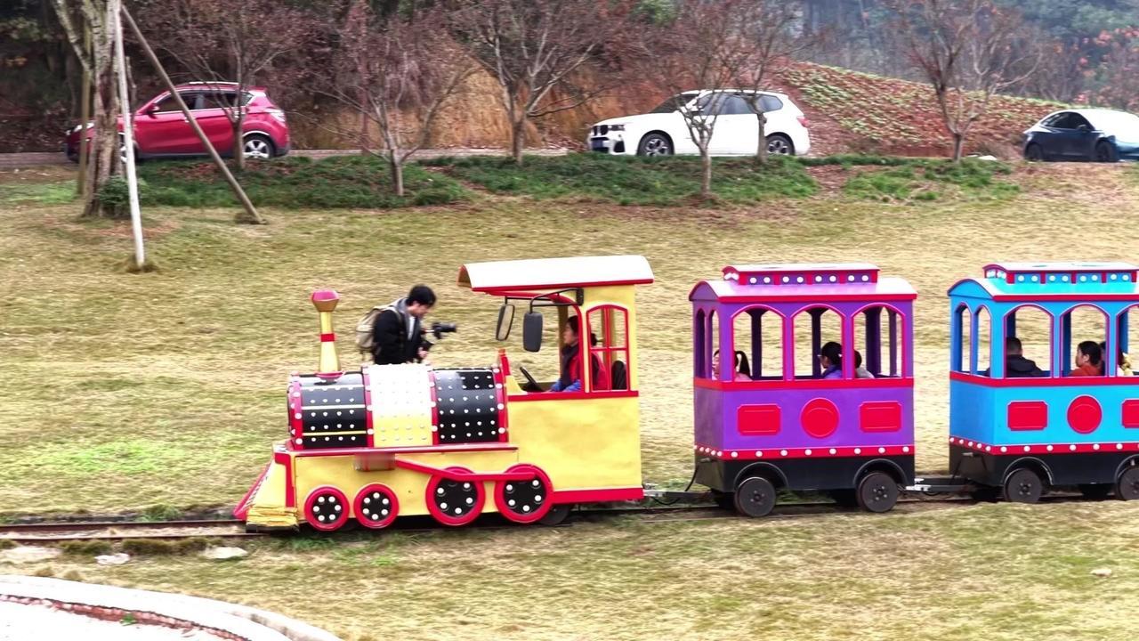 🌿南湖多彩植物园的春节氛围真的太浓了！第一次看到非遗火壶表演，金色的铁花像瀑布