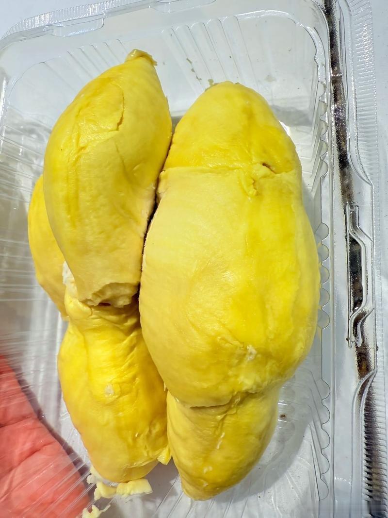  这榴莲怎么还住上单间了 趣味一幕惹人乐，平凡日常多了份欢乐，用心感受处处有惊喜